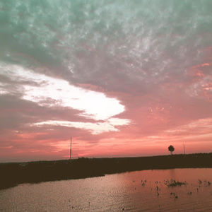 Meet your Posher, Labib